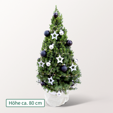 Weihnachtsbaum Silbertraum mit Lichterkette