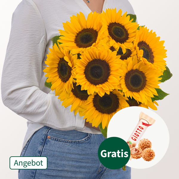 Sonnenblumen im Bund mit Ferrero Giotto 3er