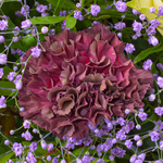 Flower Bouquet Blütenkuss with vase & 3 Ferrero Giotto