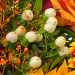 Blumenstrauß Landliebe mit Vase & Ferrero Giotto 3er