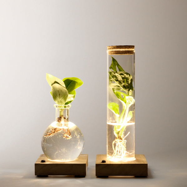 Set of 2 Water Plants with LED lights