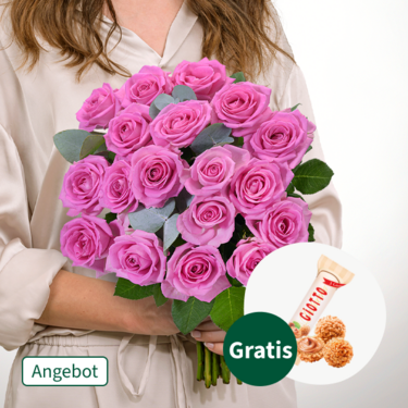 18 rosa Rosen mit Eukalyptus mit Ferrero Giotto 3er