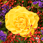 Flower Bouquet Sommerlichter with vase & 2 Ferrero Rocher