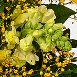 Blumenstrauß Sonnenfreude mit Vase & 2 Ferrero Rocher