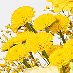 Blumenstrauß Sonnenfreude mit Vase & 2 Ferrero Rocher