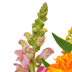Flower Bouquet Sonnentag with vase & 2 Ferrero Rocher