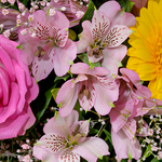 Flower Bouquet Farbentanz with vase & 2 Ferrero Rocher