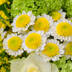 Flower Bouquet Glücksgefühl with vase & 2 Ferrero Rocher