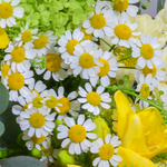 Premiumstrauß Frühlingswiese mit Premiumvase & 2 Ferrero Rocher