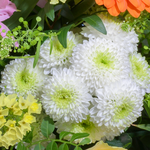 Flower Bouquet Paradiesschönheit with vase & 3 Ferrero Giotto