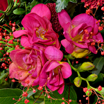 Flower Bouquet Liebesbrise with vase & 2 Ferrero Rocher