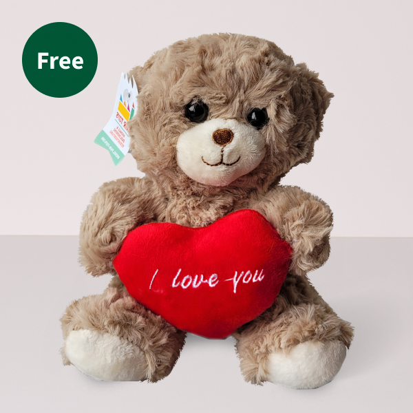 Teddy Bear „I love you“ (18 cm)