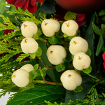 Blumenstrauß Weihnachtsüberraschung mit Vase & Ferrero Giotto 3er