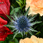 Flower Bouquet Winterlichtung with vase & 3 Ferrero Giotto