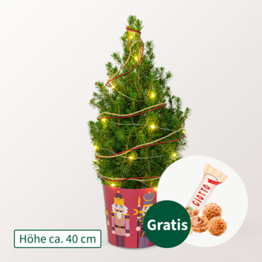 Weihnachtsbaum Weihnachtsmärchen mit Lichterkette mit Ferrero Giotto 3er