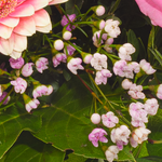 Blumenstrauß Herbstglück mit Buch & Vase