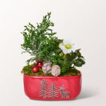 Christmas Arrangement in sweet pot