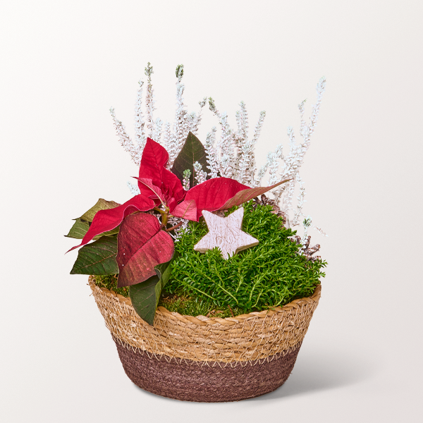 Christmas basket