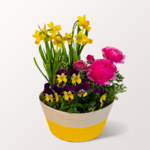 Frühlingsfee in a Basket